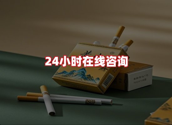 专业团队